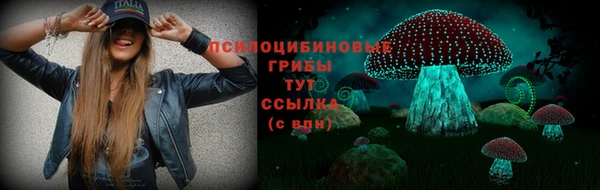трава Абинск