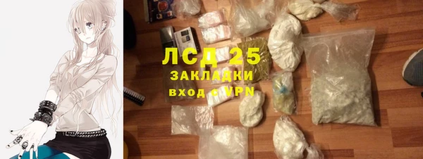 ГАЛЛЮЦИНОГЕННЫЕ ГРИБЫ Абаза