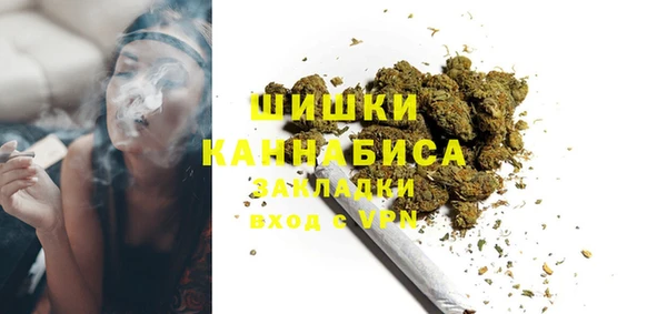 ГАЛЛЮЦИНОГЕННЫЕ ГРИБЫ Абаза