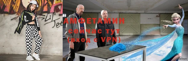 ГАЛЛЮЦИНОГЕННЫЕ ГРИБЫ Абаза