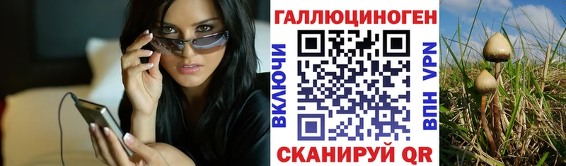 Псилоцибиновые грибы Psilocybe  Южно-Сухокумск 